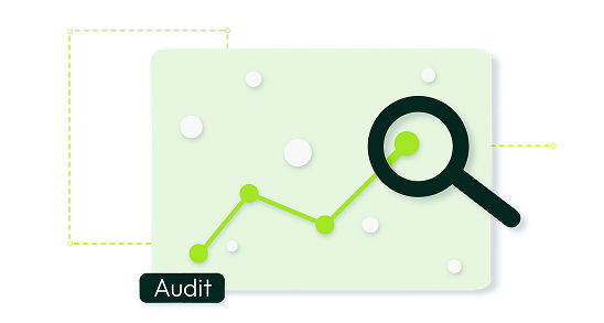 Initial Audit & Strategy Development